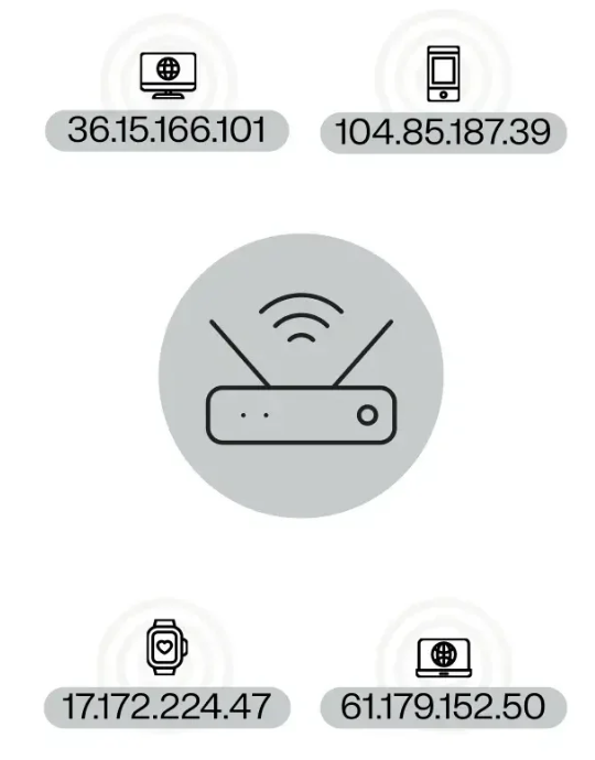 Liquid web ip